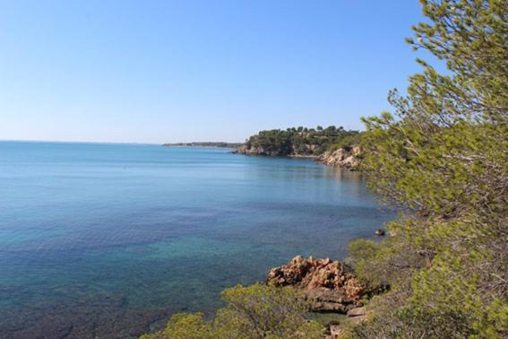 Casita De Pescadores Con Vista Al Puerto Apartman L'Ametlla de Mar Kültér fotó