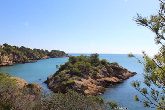 Casita De Pescadores Con Vista Al Puerto Apartman L'Ametlla de Mar Kültér fotó